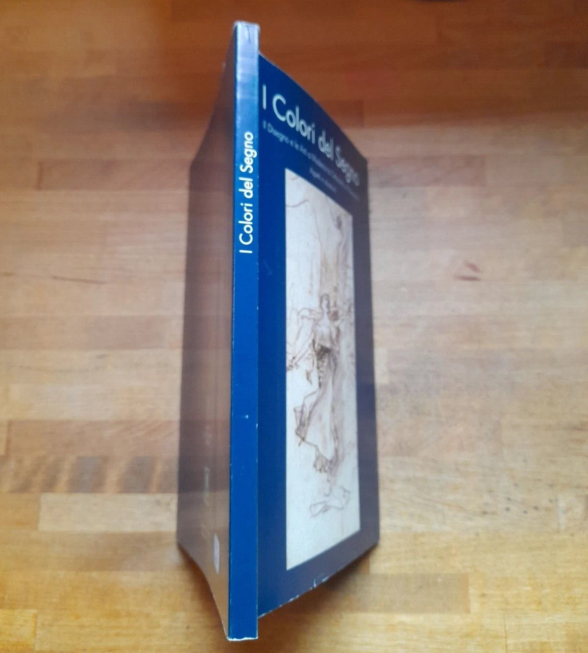I COLORI DEL SEGNO. IL DISEGNO E LE ARTI A MODENA TRA OTTOCENTO E NOVECENTO. FONDAZIONE CASSA DI RISPARMIO DI MODENA - MUSEO CIVICO D'ARTE DI MODENA, 2001. A CURA DI FRANCESCA PICCININI, CRISTINA STEFANI, LUCIANO RIVI.