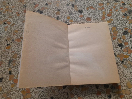 L'ESSENZA DELLO ZEN. A CURA DI KAZUAKI TANAHASHI E TENSHO DAVID SCHNEIDER. NEWTON & COMPTON EDITORI. 1° EDIZIONE 1997. COLLANA: L'ALEPH 1.