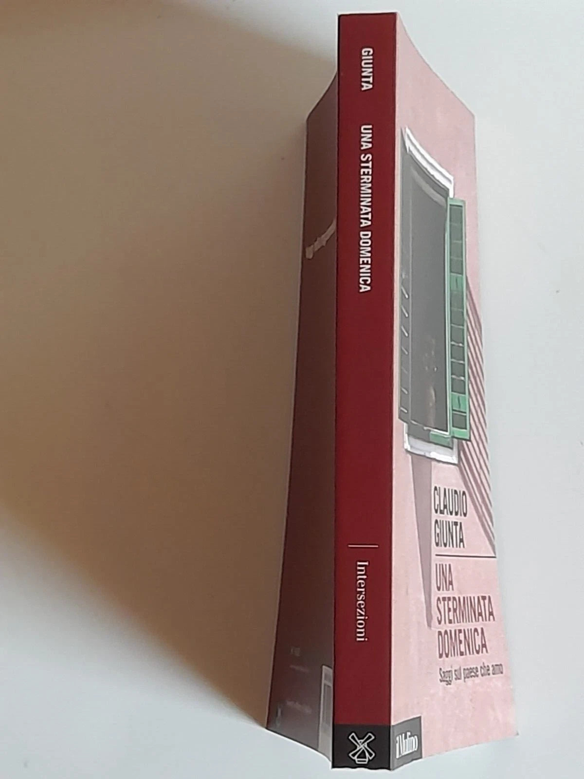 UNA STERMINATA DOMENICA. SAGGI SUL PAESE CHE AMO. CLAUDIO GIUNTA. SOCIETA' EDITRICE IL MULINO. COLLANA: INTERSEZIONI 412. 1° EDIZIONE OTTOBRE 2013.