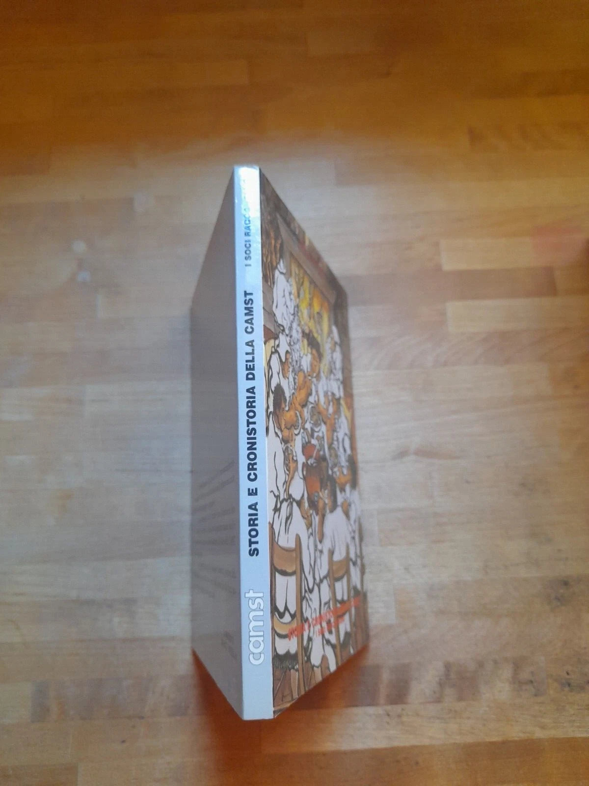 STORIA E CRONISTORIA DELLA CAMST. I SOCI RACCONTANO. GIULIANA RICCI GAROTTI. EDITORE MARSILIO. 1° EDIZIONE 1985. COLLANA: RICERCHE