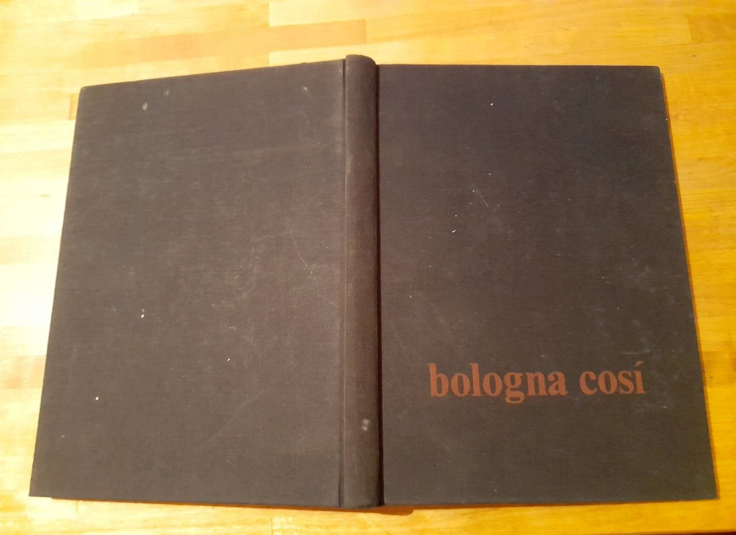BOLOGNA COSI'. AA.VV. EDIZIONI DE IL NUOVO LABORATORIO. 1° EDIZIONE 1982. PREFAZIONE: SERGIO SOGLIA.