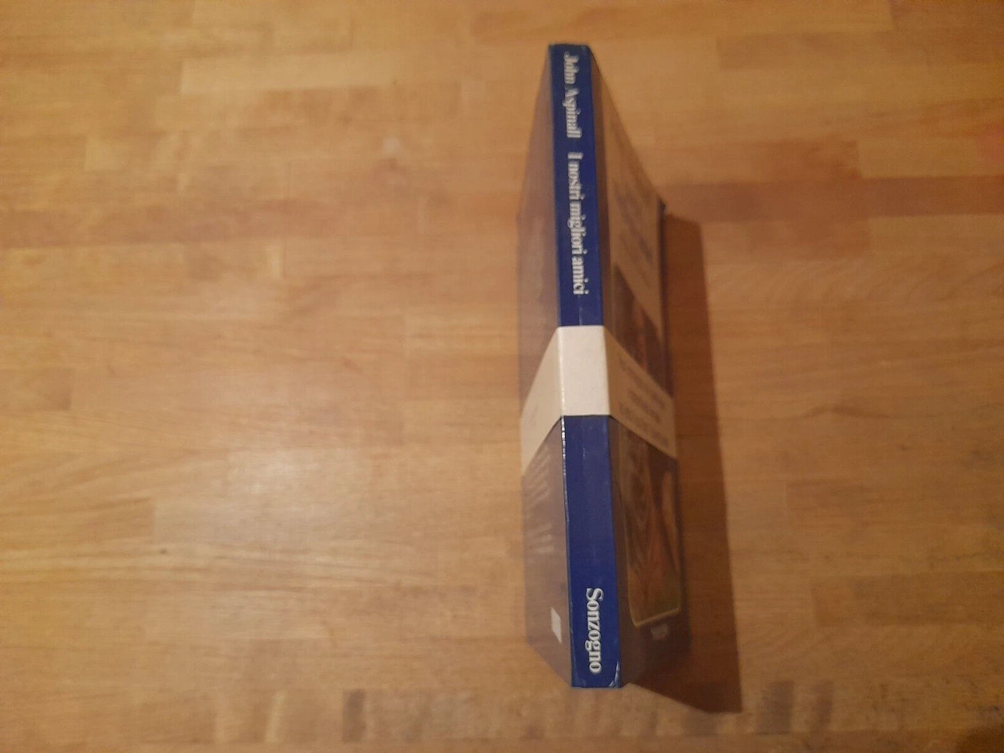 I NOSTRI MIGLIORI AMICI. LA STORIA DI UNA COMUNITA'. JOHN ASPINALL. SONZOGNO EDITORE. COLLANA: SAGGI SONZOGNO. 1° EDIZIONE 1978.