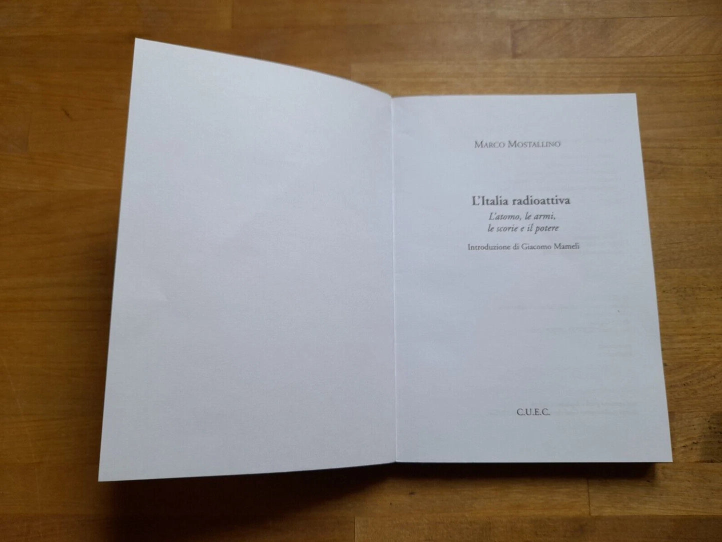 L'ITALIA RADIOATTIVA. L'ATOMO, LE ARMI, LE SCORIE E IL POTERE. MARCO MOSTALLINO. C.U.E.C. EDITORE. COLLANA: PROSPETTIVE. 1° EDIZIONE 2004.