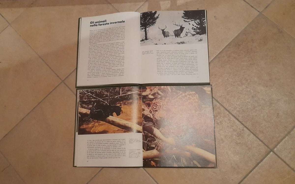 DISNEY NATURA. 5 VOLUMI. AA.VV. ARNOLDO MONDADORI EDITORE. 1° EDIZIONE 1975.