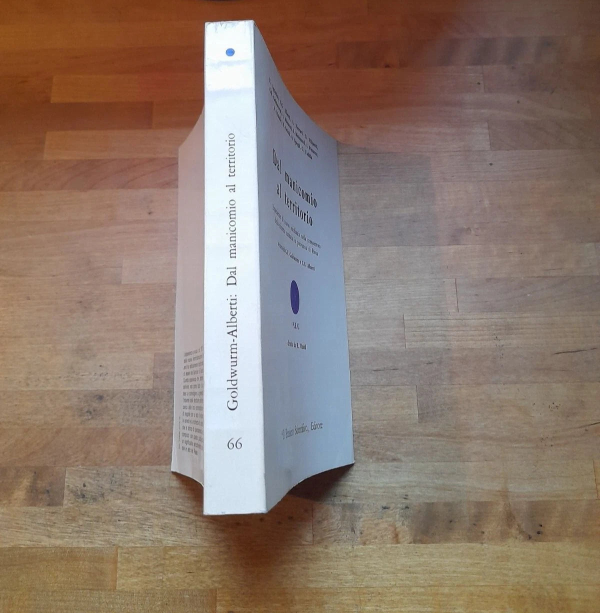 DAL MANICOMIO AL TERRITORIO. G.F.GOLDWURM - G.G.ALBERTI. "IL PENSIERO SCIENTIFICO" EDITORE. 1° EDIZIONE 1978. COLLANA: PICCOLA BIBLIOTECA DI NEUROLOGIA E PSICHIATRIA.