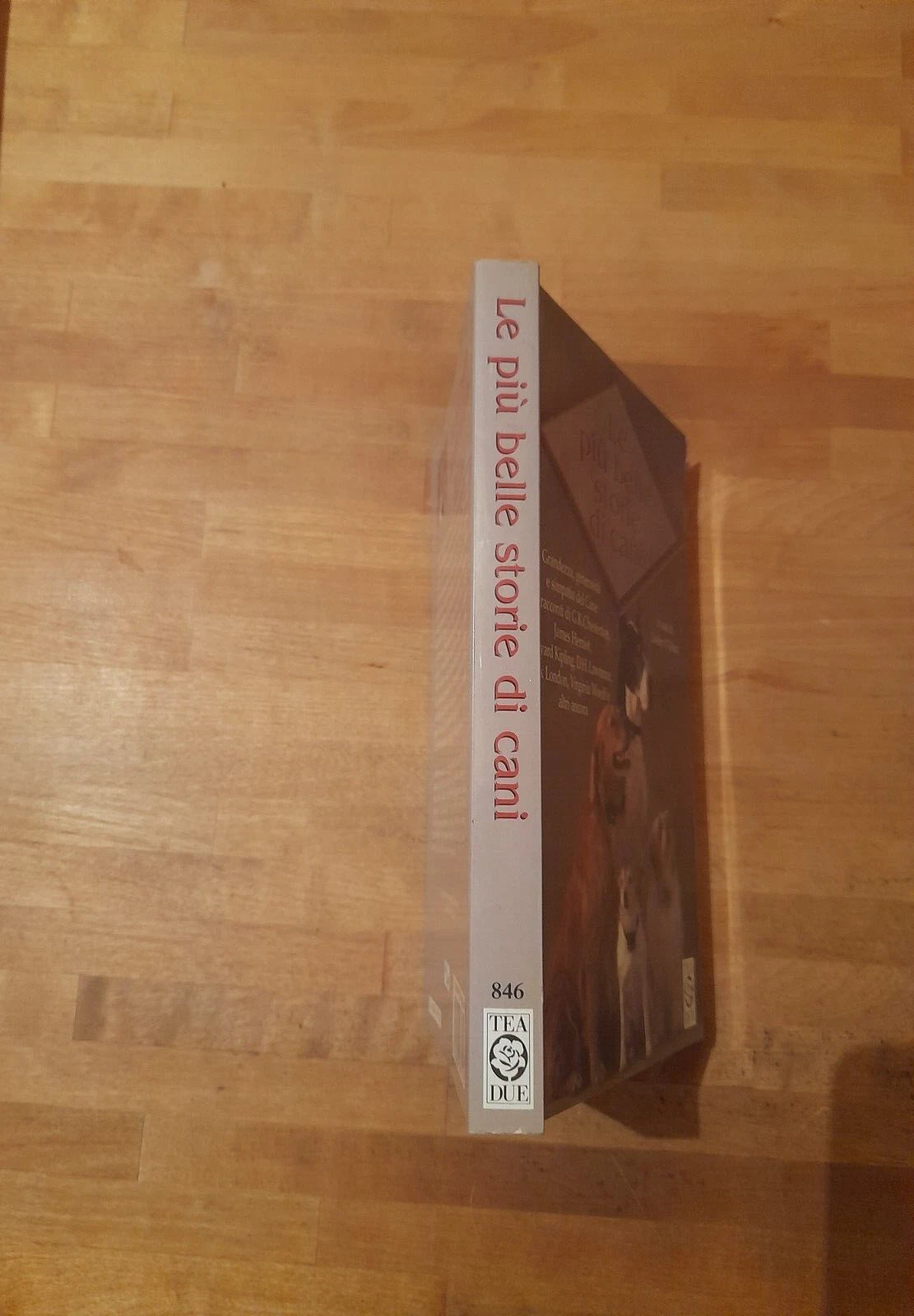 LE PIU' BELLE STORIE DI CANI. LESLEY O'MARA. TEA EDITORE. COLLANA: TEA DUE 846. 1° EDIZIONE, 2000.