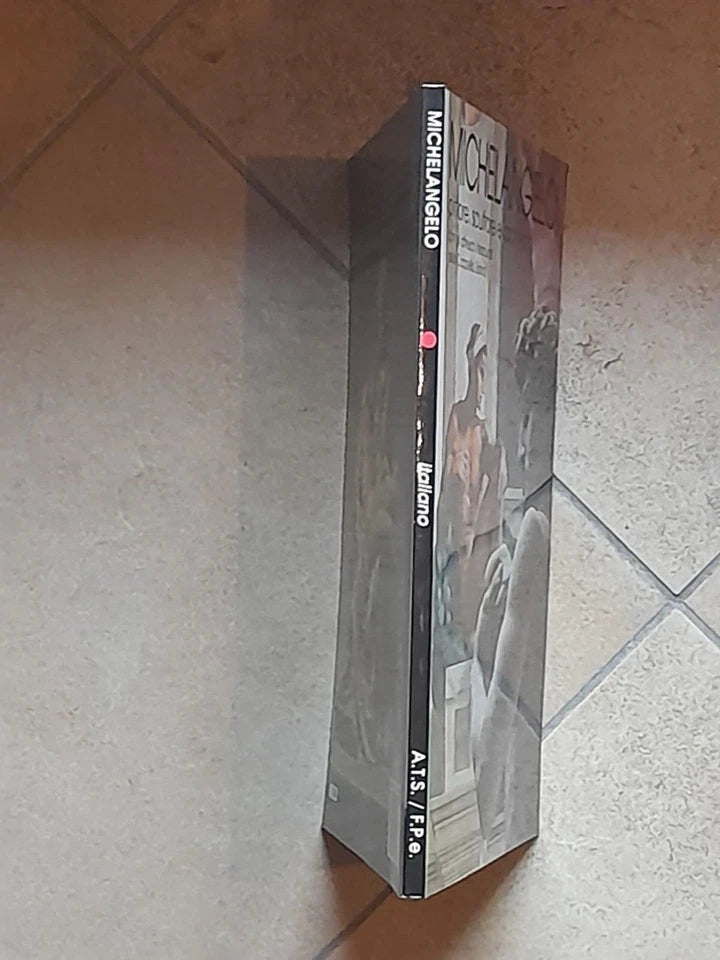 MICHELANGELO. PITTORE, SCULTORE, ARCHITETTO. ANGELO TARTUFERI. FRANCESCO PAPAFAVA EDITORE. RISTAMPA 1993.