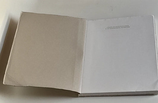 STUDI DI EGITTOLOGIA E DI ANTICHITA' PUNICHE VOLUME 18. A CURA DI: E. ACQUARO - S. PERNIGOTTI. ISTITUTI EDITORIALI E POLIGRAFICI INTERNAZIONALI - PISA - ROMA. RISTAMPA 1999.