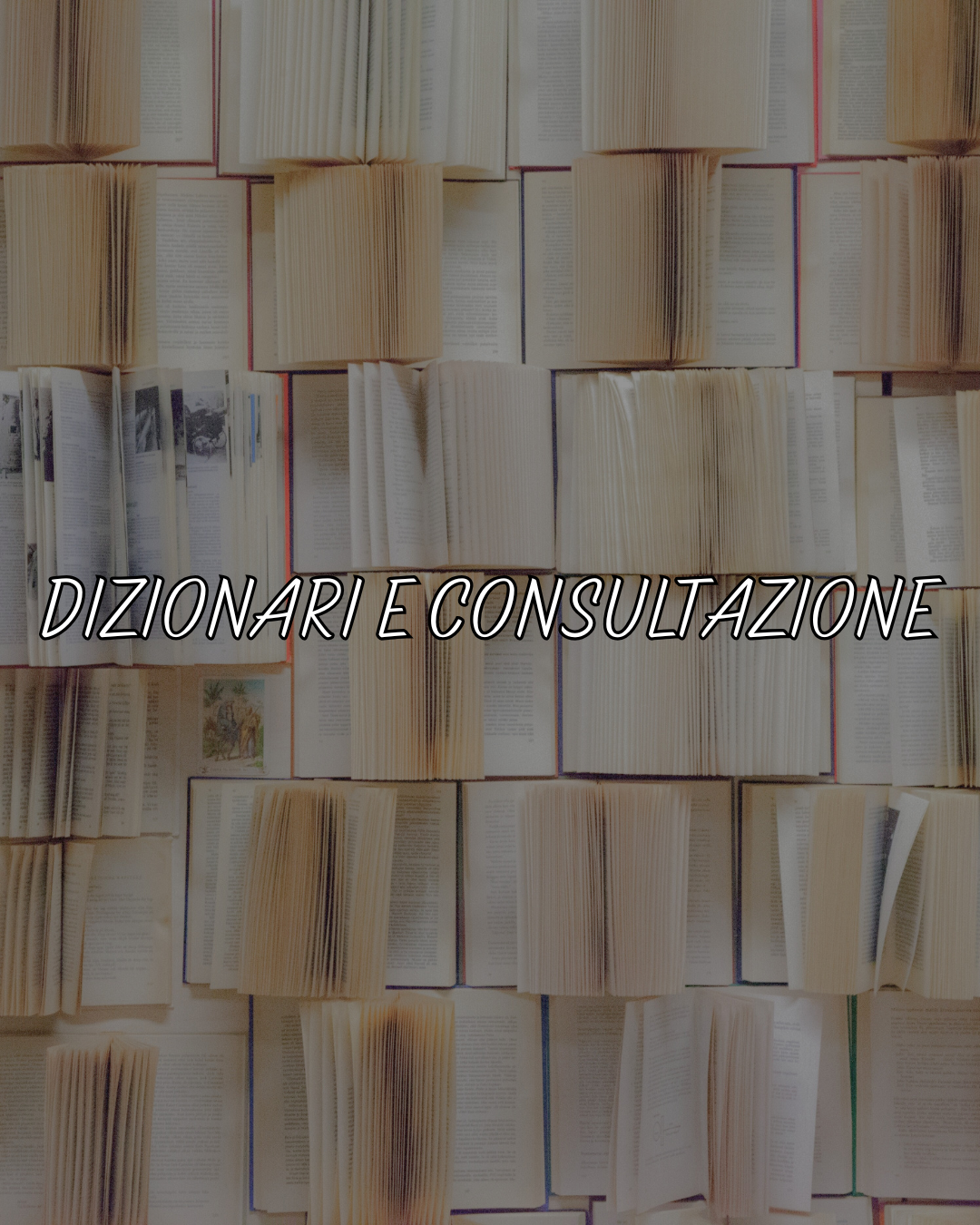 DIZIONARI E CONSULTAZIONE