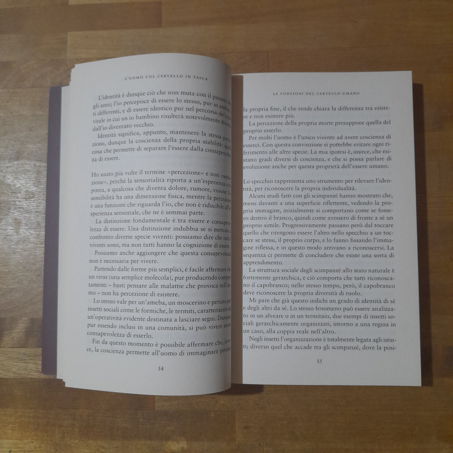 L'UOMO COL CERVELLO IN TASCA. VITTORINO ANDREOLI. SOLFERINO EDITORE. COLLANA: SAGGI. 1° EDIZIONE, GIUGNO 2019.