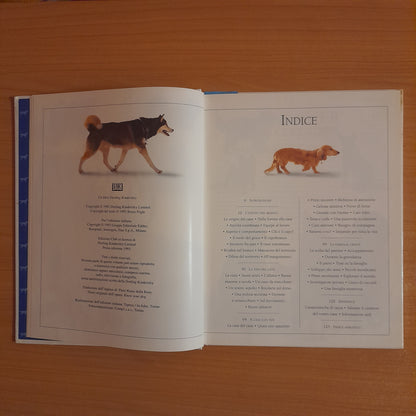 CONOSCI IL TUO CANE. GUIDA AL COMPORTAMENTO DEI CANI. BRUCE FOGLE. GRUPPO EDITORIALE FABBRI, BOMPIANI, SONZOGNO, ETAS. EDIZIONE CLUB SU LICENZA DI DORLING KINDERSLEY. 1° EDIZIONE 1993.