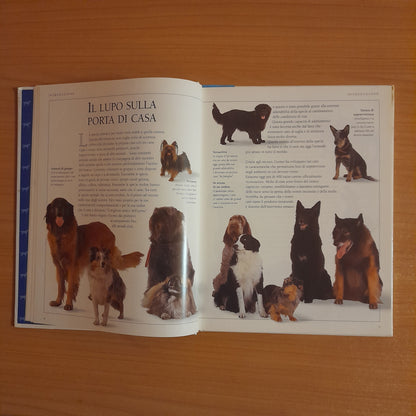 CONOSCI IL TUO CANE. GUIDA AL COMPORTAMENTO DEI CANI. BRUCE FOGLE. GRUPPO EDITORIALE FABBRI, BOMPIANI, SONZOGNO, ETAS. EDIZIONE CLUB SU LICENZA DI DORLING KINDERSLEY. 1° EDIZIONE 1993.