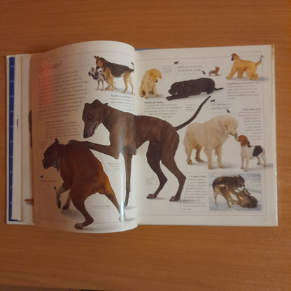 CONOSCI IL TUO CANE. GUIDA AL COMPORTAMENTO DEI CANI. BRUCE FOGLE. GRUPPO EDITORIALE FABBRI, BOMPIANI, SONZOGNO, ETAS. EDIZIONE CLUB SU LICENZA DI DORLING KINDERSLEY. 1° EDIZIONE 1993.