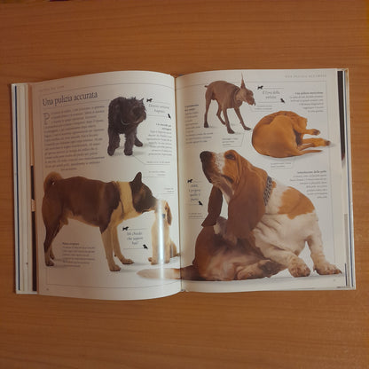 CONOSCI IL TUO CANE. GUIDA AL COMPORTAMENTO DEI CANI. BRUCE FOGLE. GRUPPO EDITORIALE FABBRI, BOMPIANI, SONZOGNO, ETAS. EDIZIONE CLUB SU LICENZA DI DORLING KINDERSLEY. 1° EDIZIONE 1993.