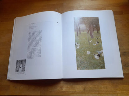 GUSTAV KLIMT. MOSTRA A CURA DI SERGE SABARSKY. FIRENZE PALAZZO STROZZI 30 NOVEMBRE 1991 - 8 MARZO 1992. AA.VV.  ARTIFICIO EDITORE. RISTAMPA 1991.
