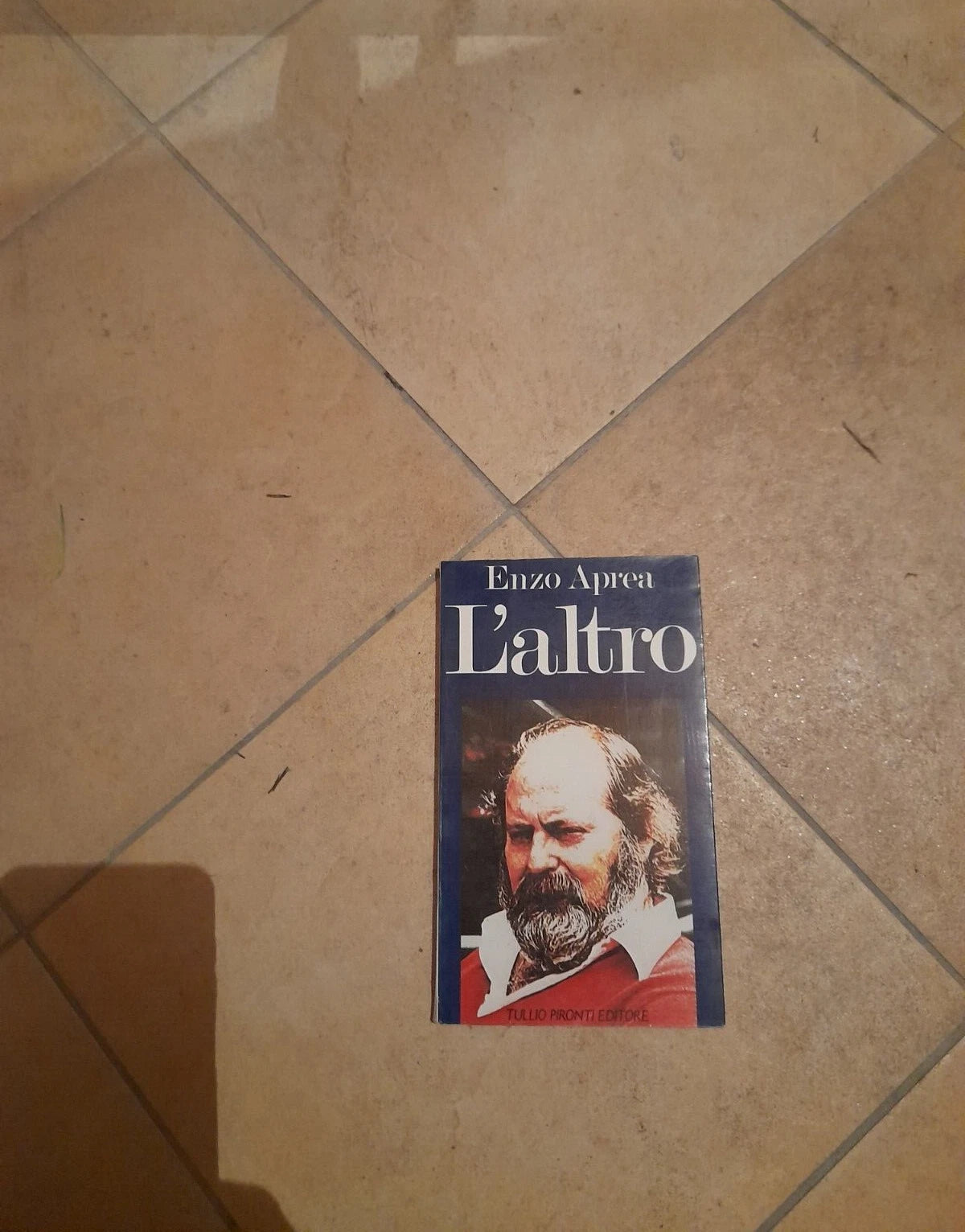 L'ALTRO. ENZO APREA. TULLIO PIRONTI EDITORE. 1° EDIZIONE APRILE 1987. COLLANA: CERCASTORIE.