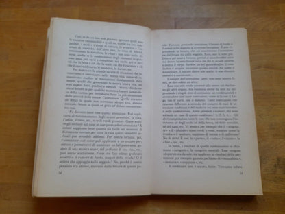 CONTENTEZZA & INTELLIGENZA. SILVIO CECCATO. RIZZOLI EDITORE. 1° EDIZIONE 1989. COLLANA: SAGGI ITALIANI.