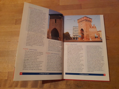 LA BOLOGNA DEI SAPORI. IL RESTO DEL CARLINO. GUIDA DI BOLOGNA E PROVINCIA 2009. 2°  EDIZIONE 2009.