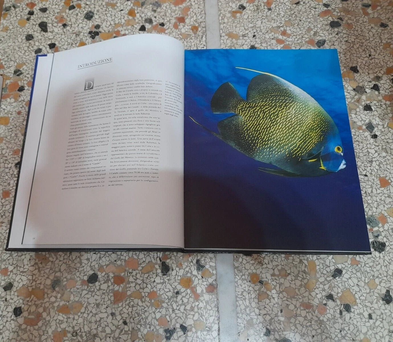 CARAIBI. KURT AMSLER. COLLANA: NATIONAL GOEGRAPHIC. EDIZIONE ILLUSTRATA. EDIZIONI WHITE STAR, 2006.