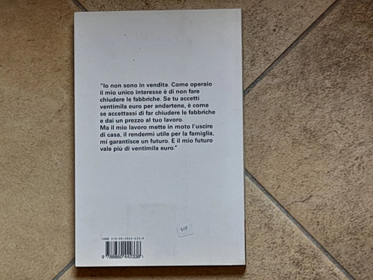 ASSALTO AL CIELO. LA CLASSE OPERAIA VA SUI TETTI. MICHELA GIACCHETTA. EDIZIONI FANDANGO LIBRI. COLLANA: DOCUMENTI 46. RISTAMPA 2012.