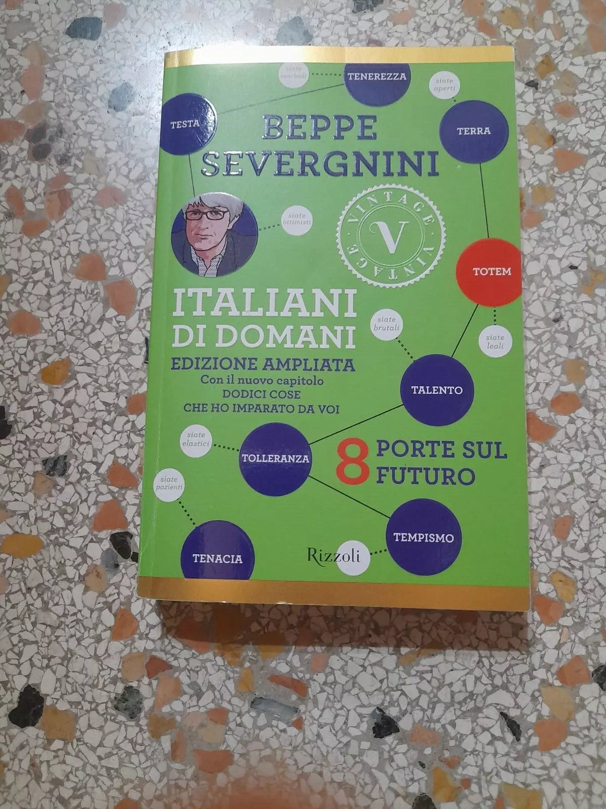 ITALIANI DI DOMANI. BEPPE SEVERGNINI. RIZZOLI EDITORE. COLLANA: RIZZOLI VINTAGE. 1° EDIZIONE RIZZOLI VINTAGE 2013. EDIZIONE AMPLIATA.