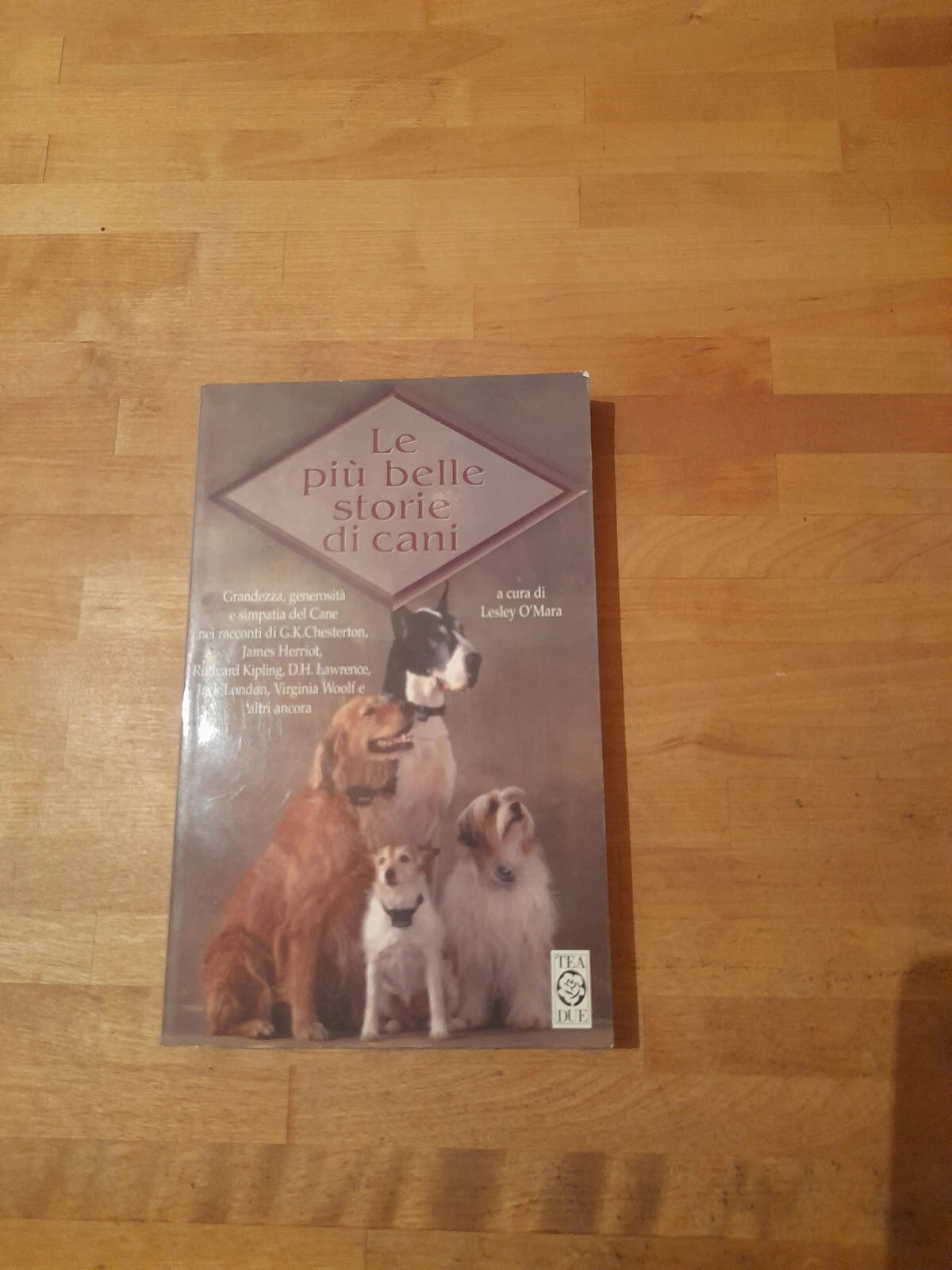 LE PIU' BELLE STORIE DI CANI. LESLEY O'MARA. TEA EDITORE. COLLANA: TEA DUE 846. 1° EDIZIONE, 2000.