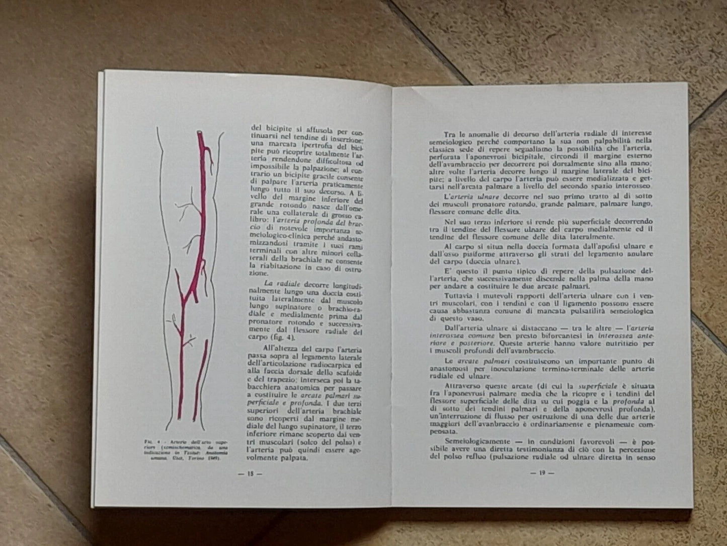 SEMEIOTICA ANGIOLOGICA DEGLI ARTI. LUIGI F. ALLORI. POLIFARMA EDITRICE. RISTAMPA 1981.