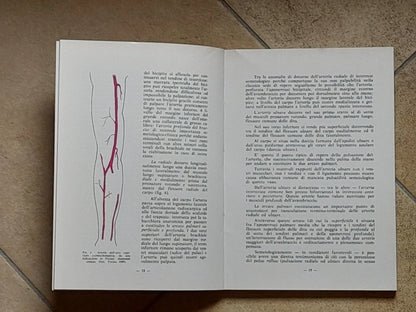 SEMEIOTICA ANGIOLOGICA DEGLI ARTI. LUIGI F. ALLORI. POLIFARMA EDITRICE. RISTAMPA 1981.