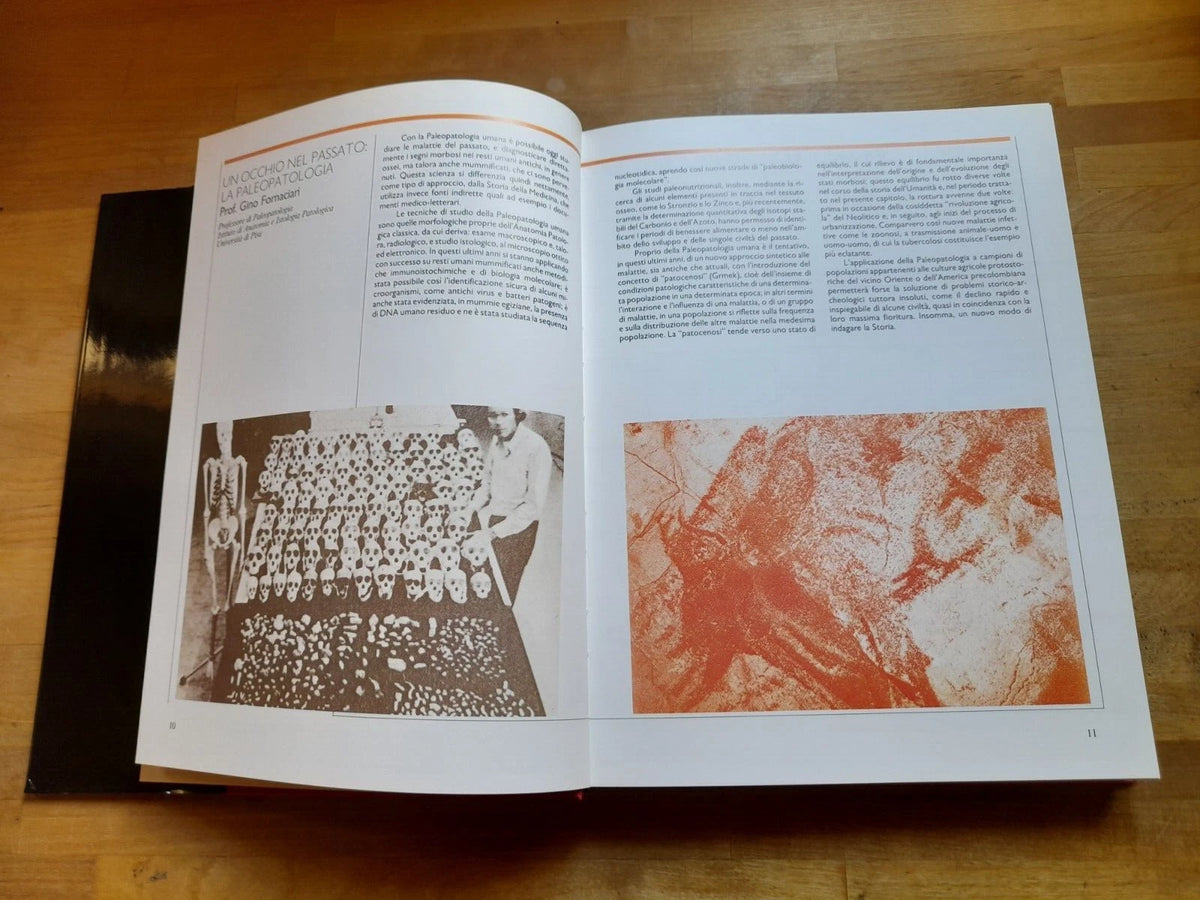 STRATIGRAFIA DI UN PASSATO. LUCIANO STERPELLONE. PUNTOELINEA EDITORIALE 1990. EDIZIONE FUORI COMMERCIO.