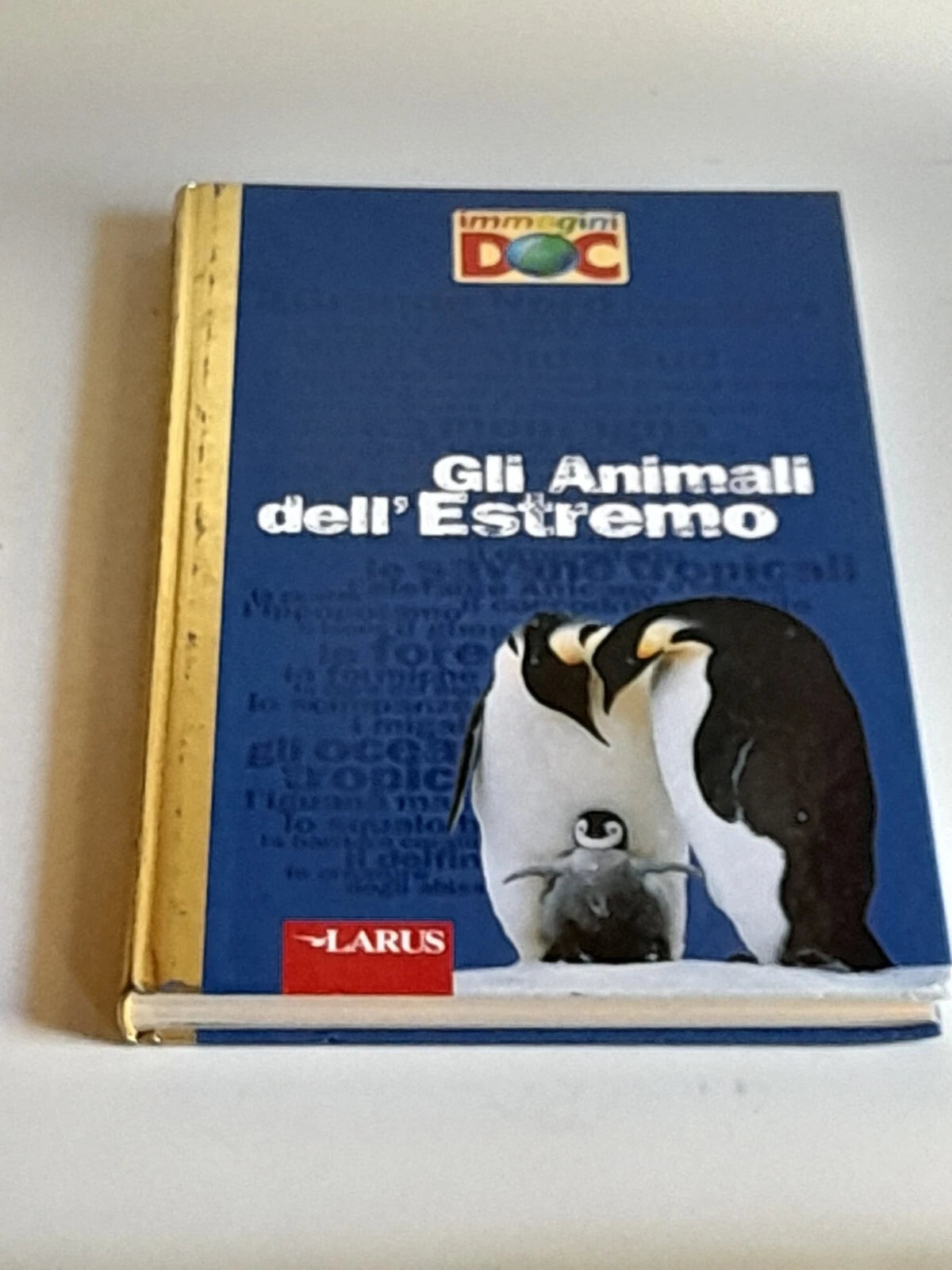 GLI ANIMALI DELL'ESTREMO. NATHALIE TORDJMAN E ANNE-LAURE FOURNIER LE RAY. LARUS EDIZIONI 2007. IMMAGINI DOC.