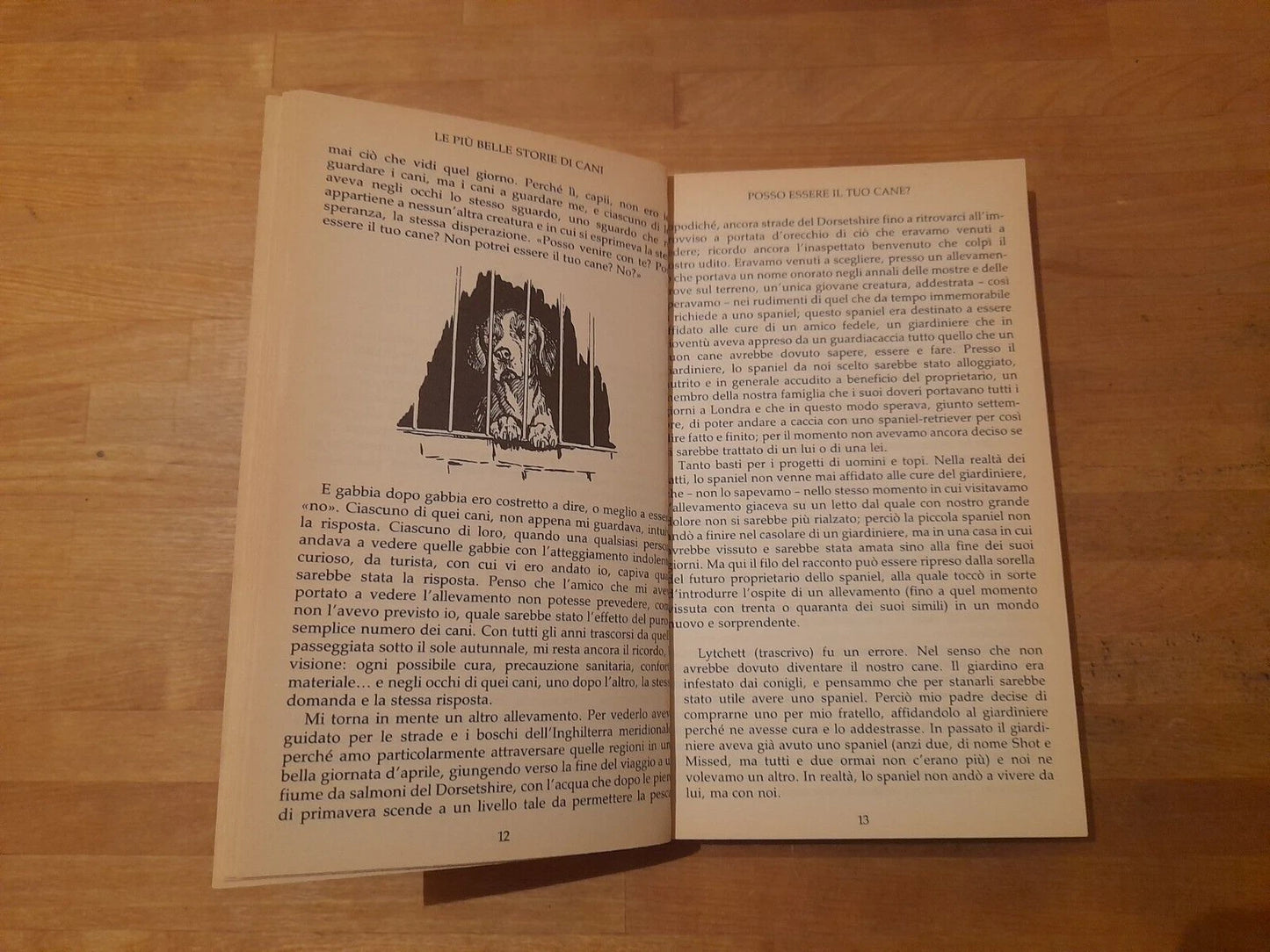 LE PIU' BELLE STORIE DI CANI. LESLEY O'MARA. TEA EDITORE. COLLANA: TEA DUE 846. 1° EDIZIONE, 2000.