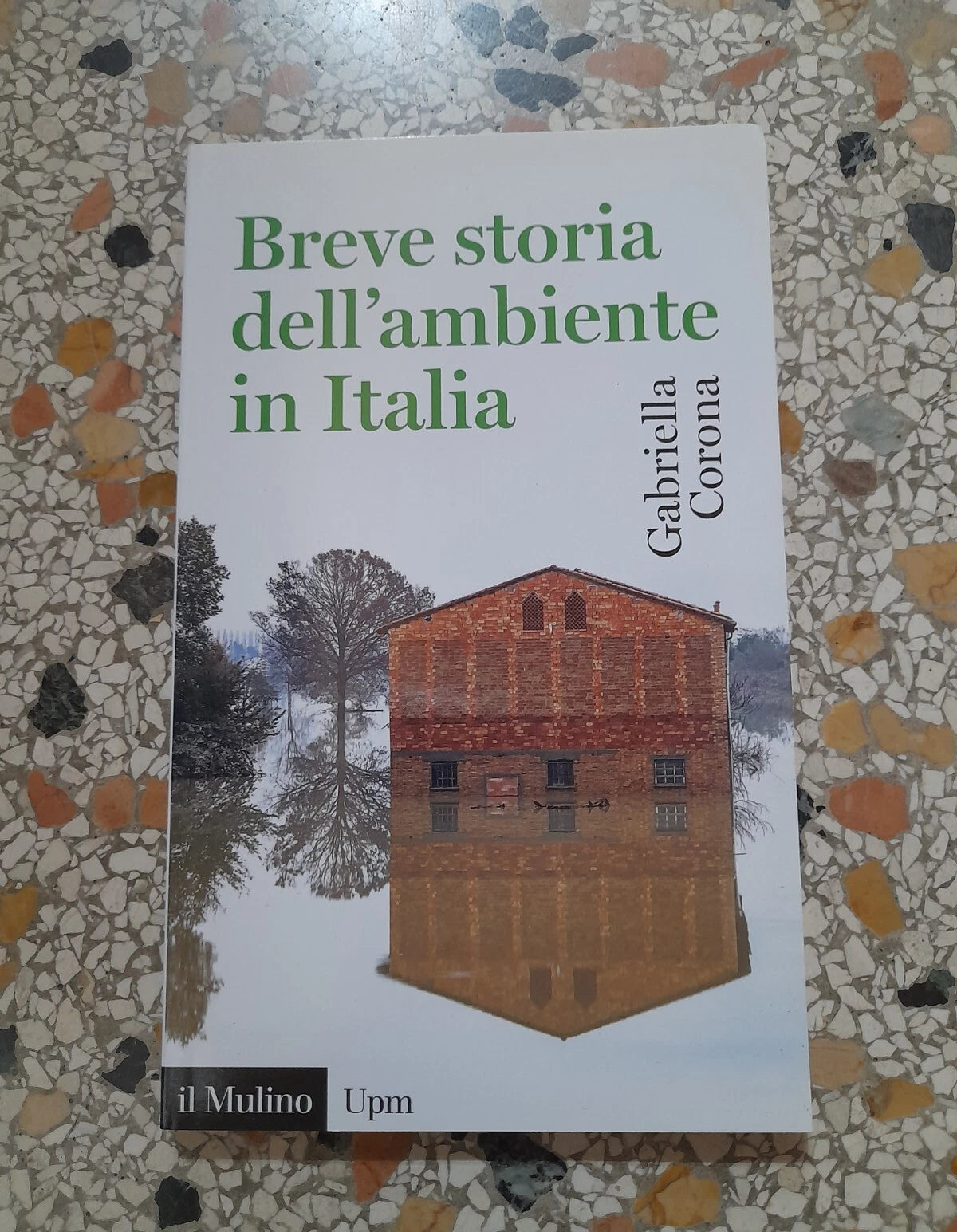BREVE STORIA DELL'AMBIENTE IN ITALIA. GABRIELLA CORONA. SOCIETA' EDITRICE IL MULINO. COLLANA: IL MULINO UNIVERSALE PAPERBACKS 689. 1° EDIZIONE 2015.