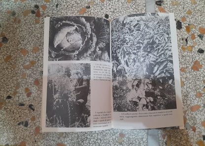 FINDHORN. PAOLA GIOVETTI. EDIZIONI MEDITERRANEE. 3° EDIZIONE 1995. COLLANA:  NEW AGE / LA COSCIENZA DEL 2000.