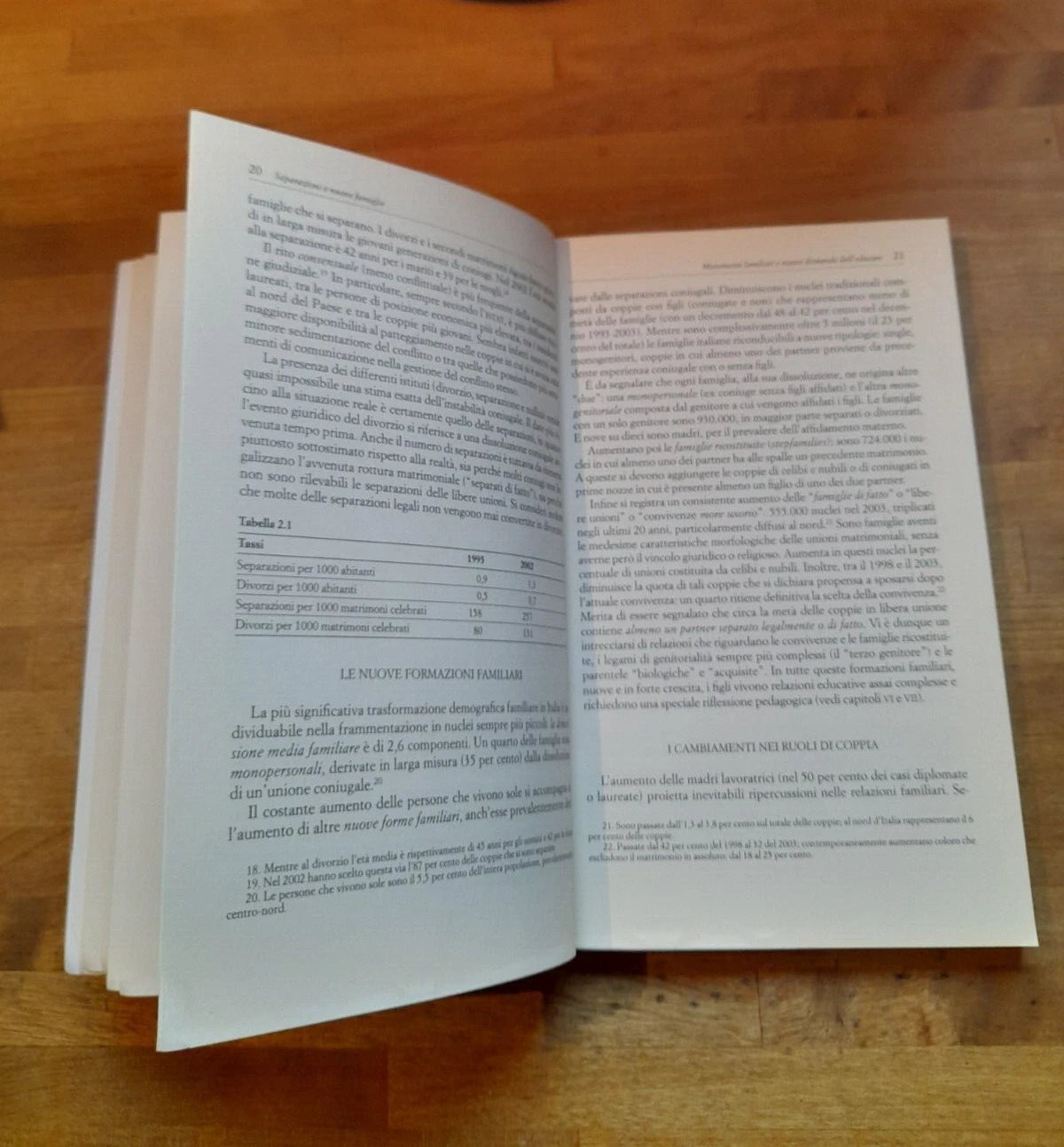 SEPARAZIONI E NUOVE FAMIGLIE. L'EDUCAZIONE DEI FIGLI. VANNA IORI. RAFFAELLO CORTINA EDITORE. 1° EDIZIONE 2006. COLLANA: PEDAGOGIE DELLO SVILUPPO.