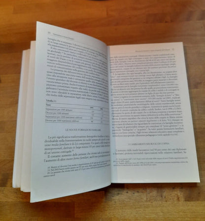 SEPARAZIONI E NUOVE FAMIGLIE. L'EDUCAZIONE DEI FIGLI. VANNA IORI. RAFFAELLO CORTINA EDITORE. 1° EDIZIONE 2006. COLLANA: PEDAGOGIE DELLO SVILUPPO.