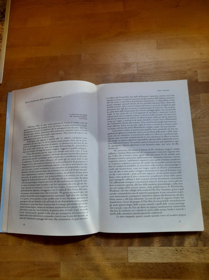 PAURA, PANICO, FOBIE. LA TERAPIA IN TEMPI BREVI. GIORGIO NARDONE. PONTE ALLE GRAZIE EDITRICE. 1° RISTAMPA MAGGIO 1995. COLLANA: SAGGI.