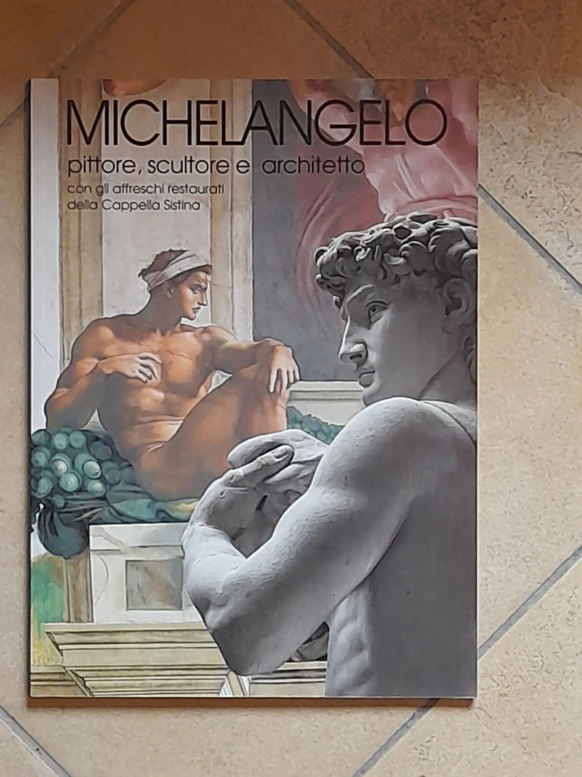 MICHELANGELO. PITTORE, SCULTORE, ARCHITETTO. ANGELO TARTUFERI. FRANCESCO PAPAFAVA EDITORE. RISTAMPA 1993.