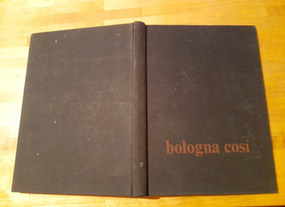 BOLOGNA COSI'. AA.VV. EDIZIONI DE IL NUOVO LABORATORIO. 1° EDIZIONE 1982. PREFAZIONE: SERGIO SOGLIA.