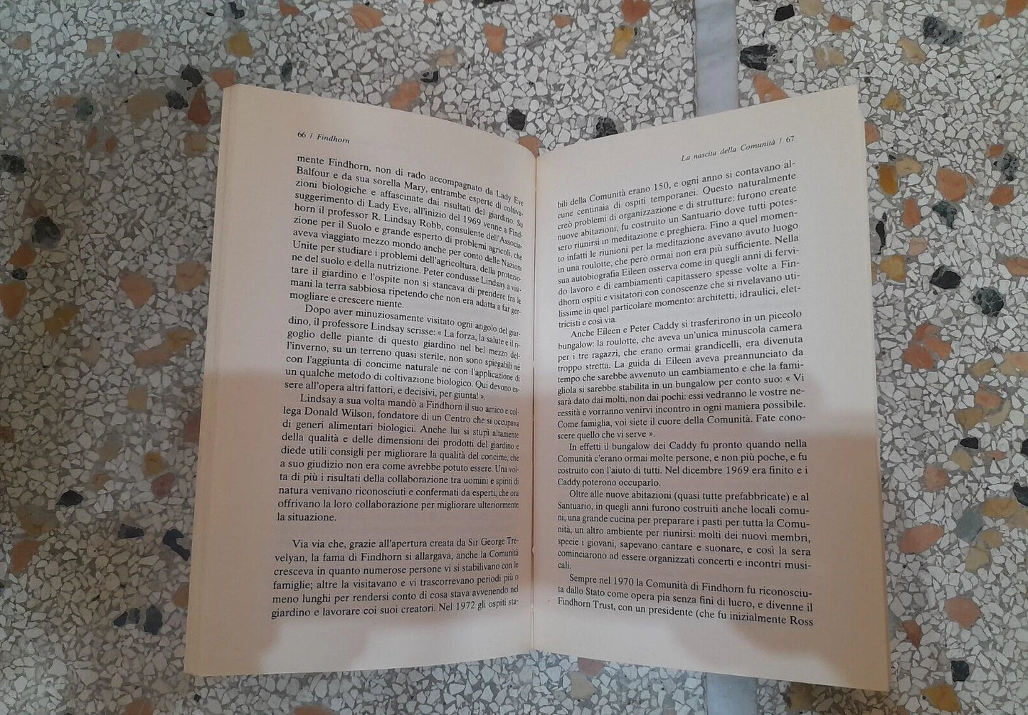 FINDHORN. PAOLA GIOVETTI. EDIZIONI MEDITERRANEE. 3° EDIZIONE 1995. COLLANA:  NEW AGE / LA COSCIENZA DEL 2000.