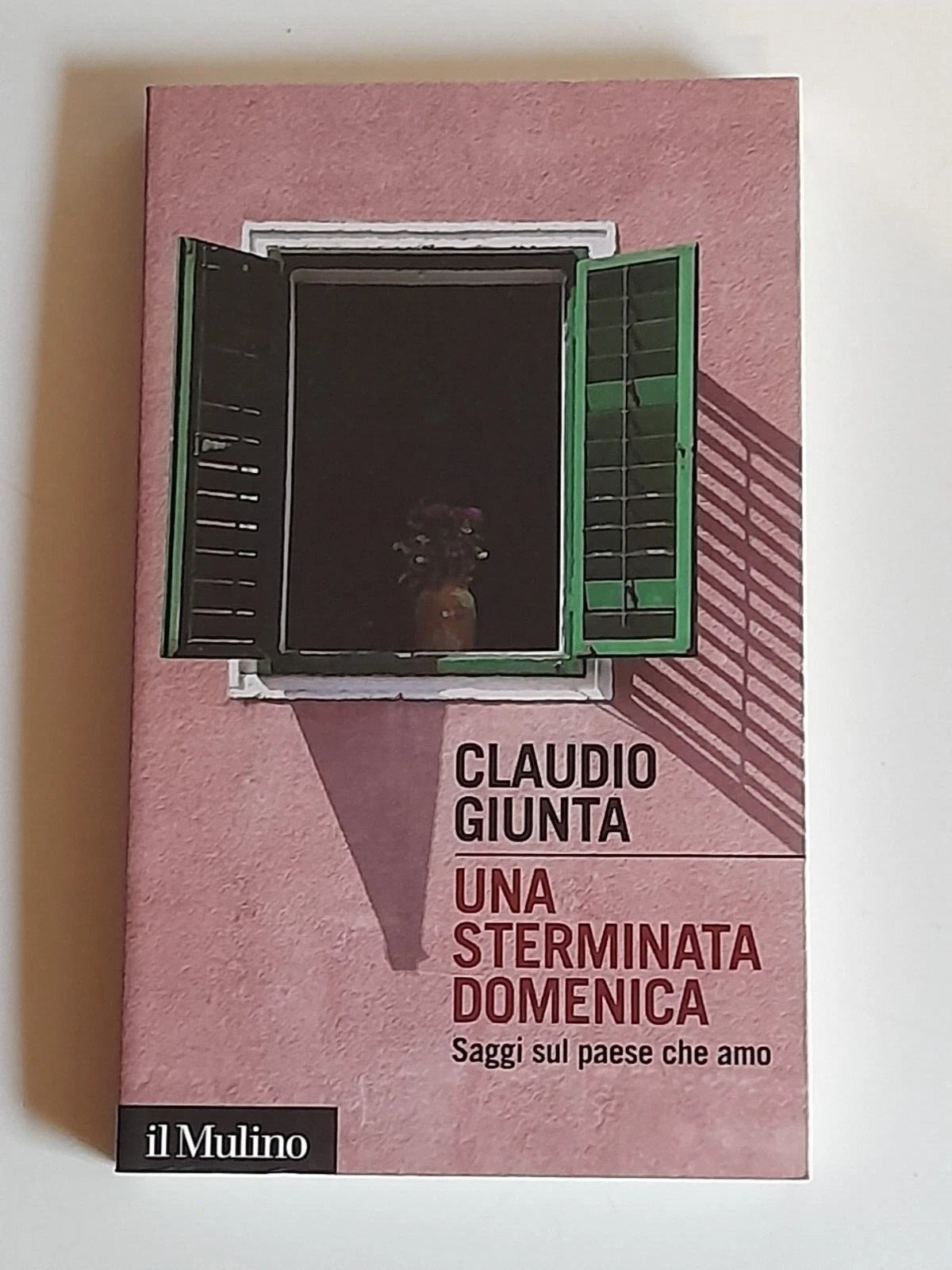 UNA STERMINATA DOMENICA. SAGGI SUL PAESE CHE AMO. CLAUDIO GIUNTA. SOCIETA' EDITRICE IL MULINO. COLLANA: INTERSEZIONI 412. 1° EDIZIONE OTTOBRE 2013.