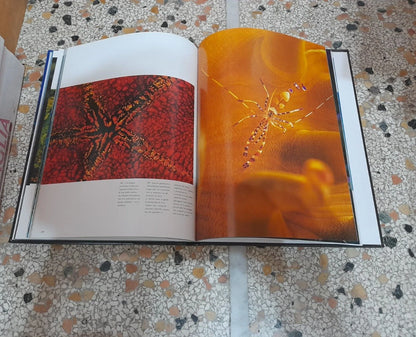CARAIBI. KURT AMSLER. COLLANA: NATIONAL GOEGRAPHIC. EDIZIONE ILLUSTRATA. EDIZIONI WHITE STAR, 2006.