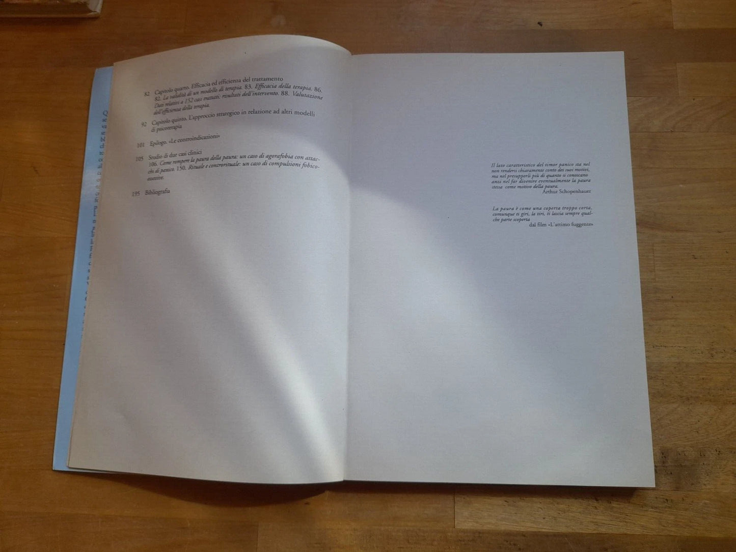 PAURA, PANICO, FOBIE. LA TERAPIA IN TEMPI BREVI. GIORGIO NARDONE. PONTE ALLE GRAZIE EDITRICE. 1° RISTAMPA MAGGIO 1995. COLLANA: SAGGI.
