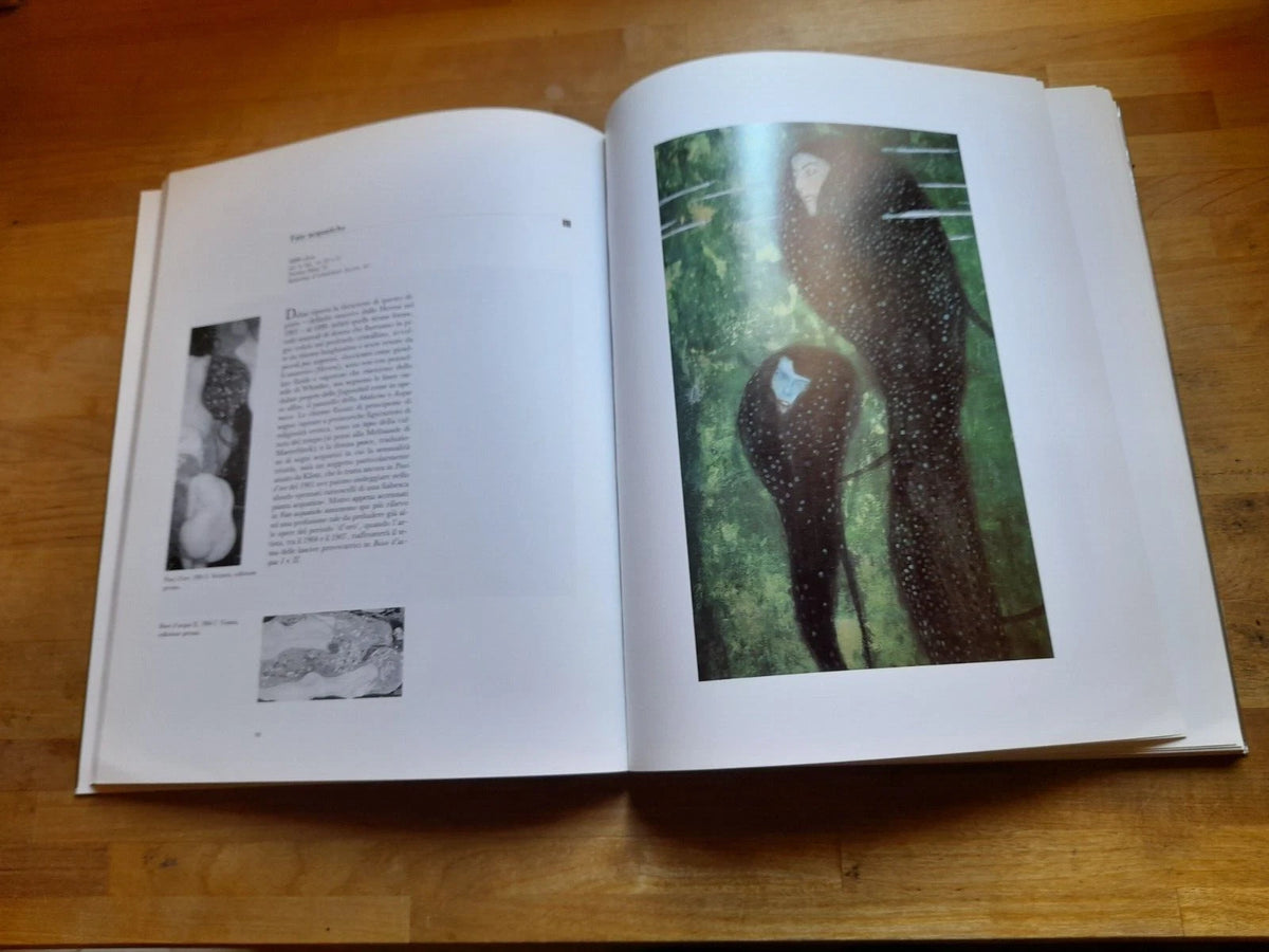 GUSTAV KLIMT. MOSTRA A CURA DI SERGE SABARSKY. FIRENZE PALAZZO STROZZI 30 NOVEMBRE 1991 - 8 MARZO 1992. AA.VV.  ARTIFICIO EDITORE. RISTAMPA 1991.