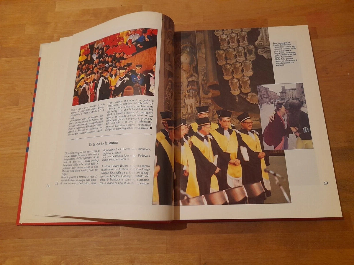 IL NETTUNO SI RACCONTA. FABIO E FILIPPO RAFFAELLI. GF GRAFICA EDITORIALE 1989.