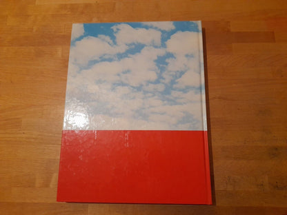 IL NETTUNO SI RACCONTA. FABIO E FILIPPO RAFFAELLI. GF GRAFICA EDITORIALE 1989.