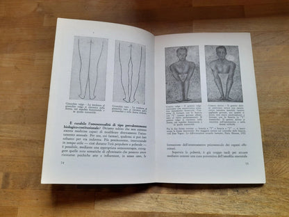 BISESSUALITA' NUOVA FRONTIERA DELL'EROS. GINO OLIVARI. TODARIANA EDITRICE. 2° EDIZIONE 1983. COLLANA: "LUOGHI SAGGISTICI".