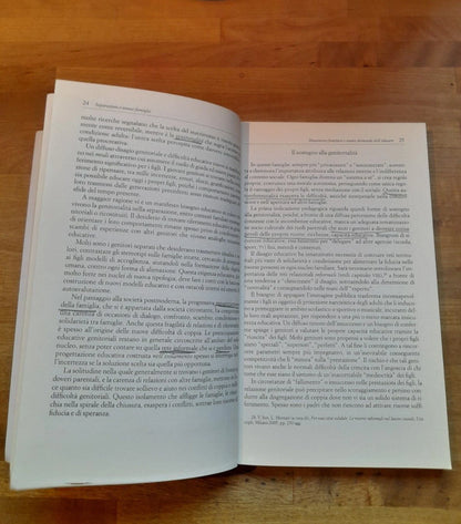 SEPARAZIONI E NUOVE FAMIGLIE. L'EDUCAZIONE DEI FIGLI. VANNA IORI. RAFFAELLO CORTINA EDITORE. 1° EDIZIONE 2006. COLLANA: PEDAGOGIE DELLO SVILUPPO.