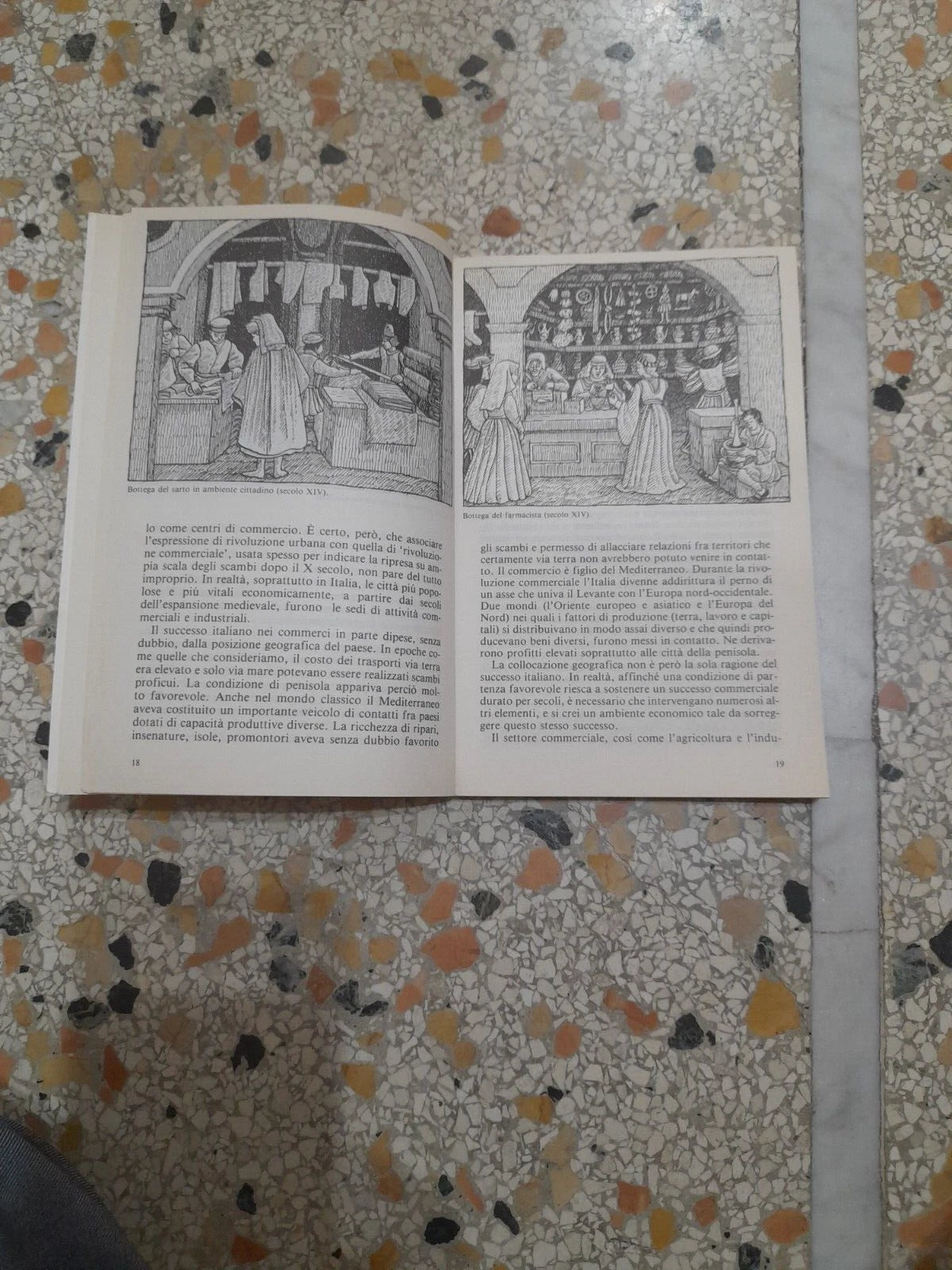 L'ECONOMIA ITALIANA NELL'ETA' MODERNA. PAOLO MALANIMA. EDITORI RIUNITI. COLLANA: LIBRI DI BASE 35. 1° EDIZIONE 1982.