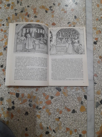 L'ECONOMIA ITALIANA NELL'ETA' MODERNA. PAOLO MALANIMA. EDITORI RIUNITI. COLLANA: LIBRI DI BASE 35. 1° EDIZIONE 1982.
