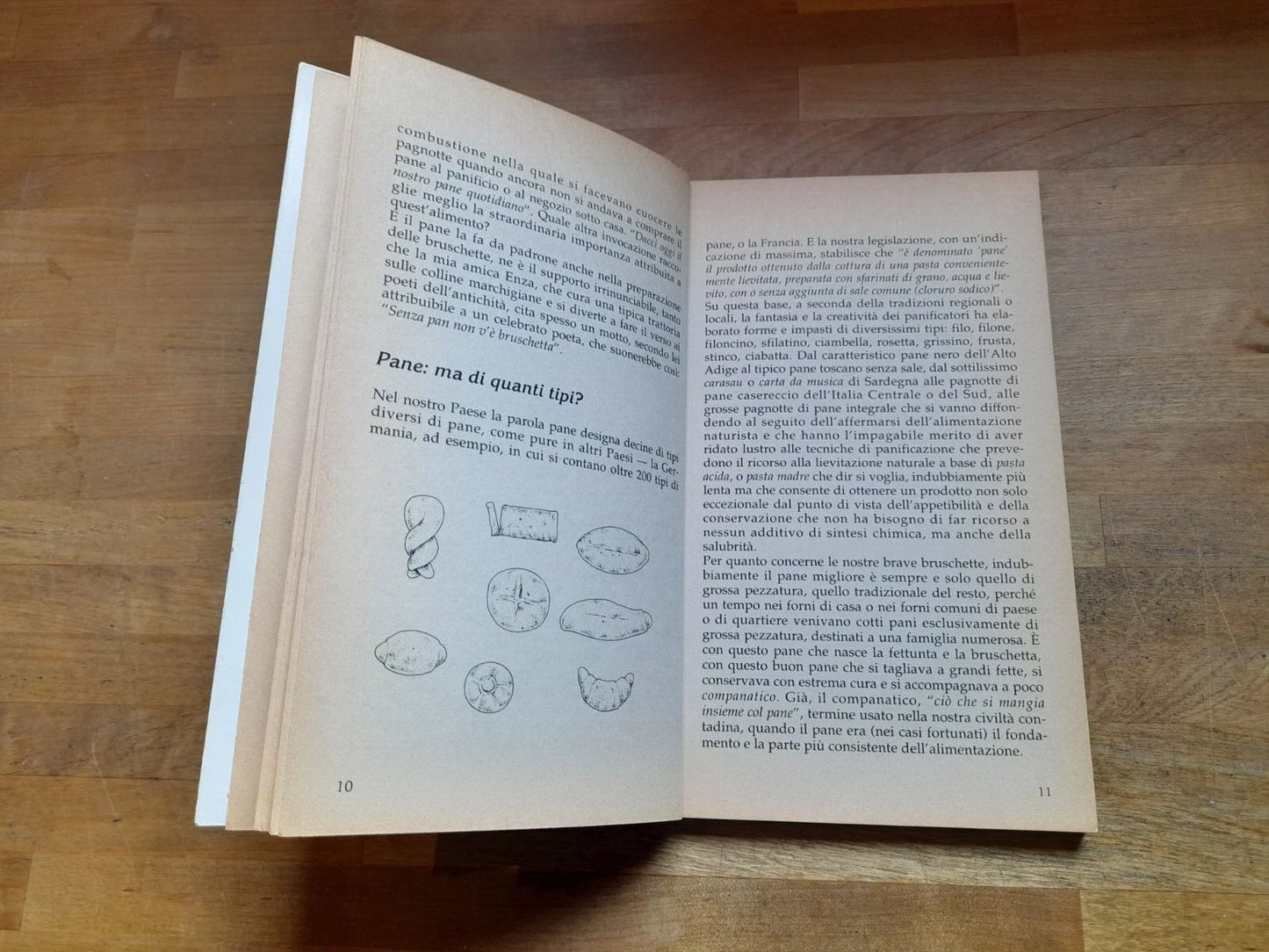 IL GRANDE LIBRO DELLE BRUSCHETTE. MARTA FISCHER. COLLANA: PRATICISSIMI IN CUCINA. DEMETRA EDITORE. 1° EDIZIONE 1993.